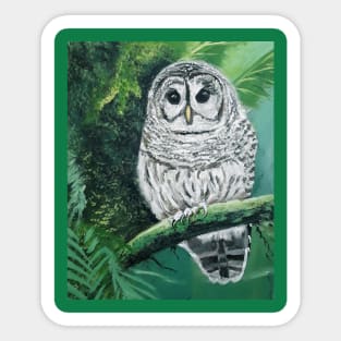 Barred Owl Sticker